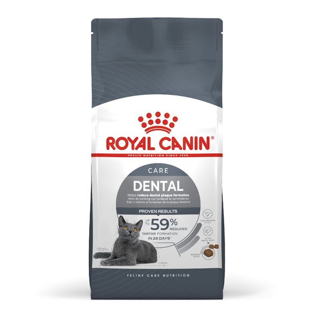 Royal Canin Adult Dental Care Cat Dry Food