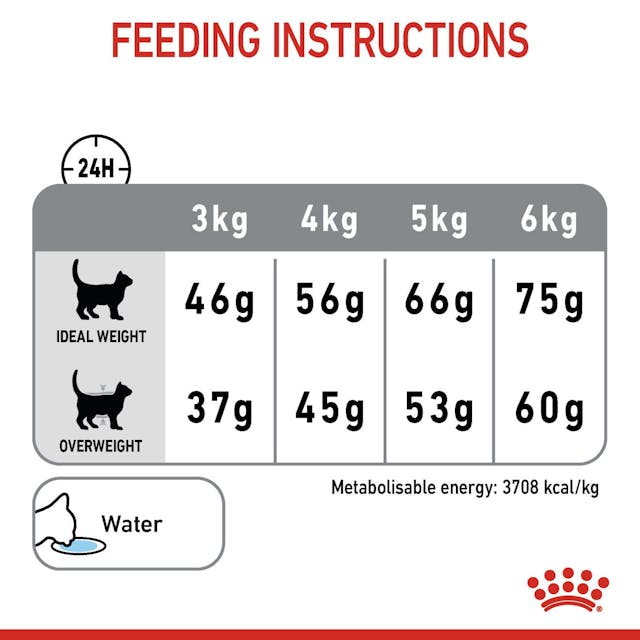 Royal Canin Adult Dental Care Cat Dry Food