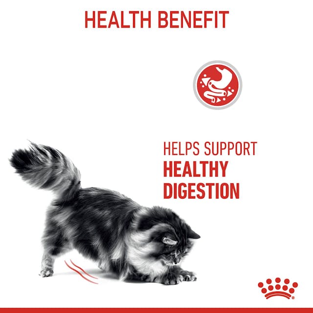 Royal Canin Adult Digestive Care Cat Dry Food