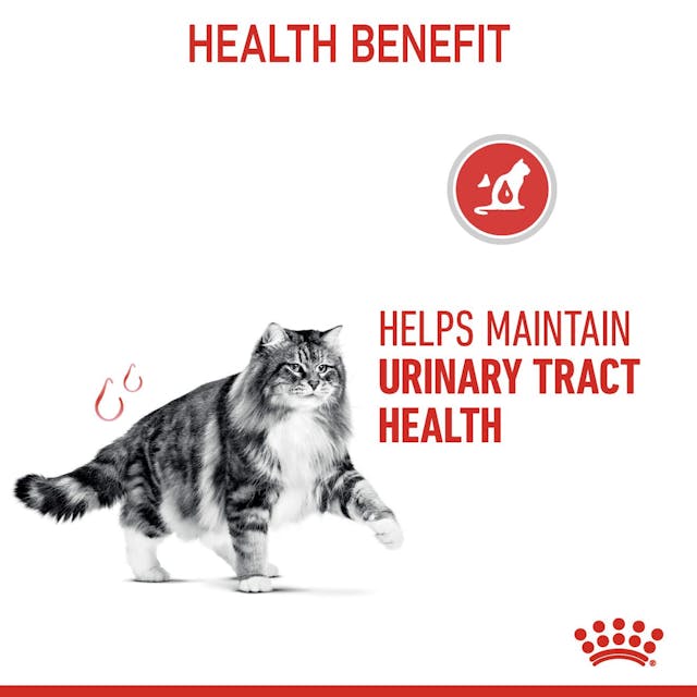 Royal Canin Adult Urinary care Cat Dry Food