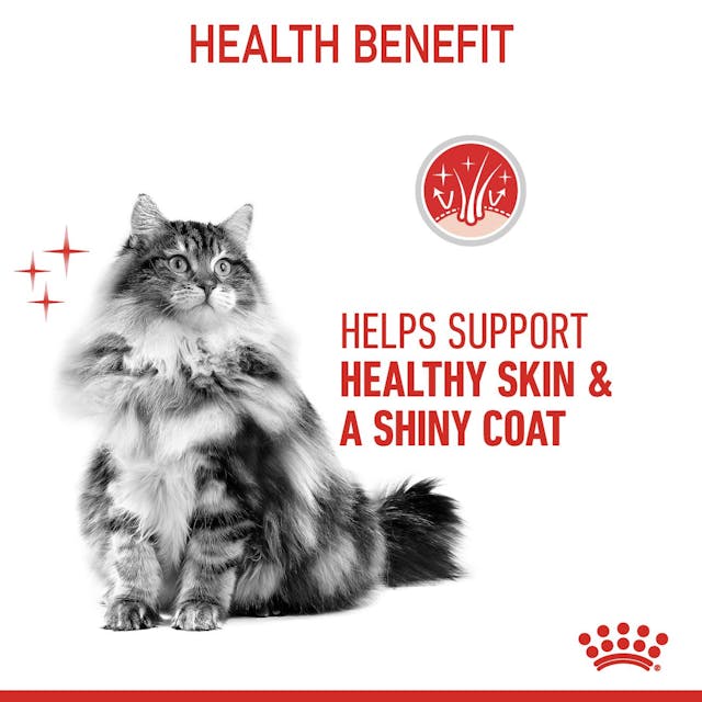 Royal Canin - Wet Hair & Skin Jelly Cat Food