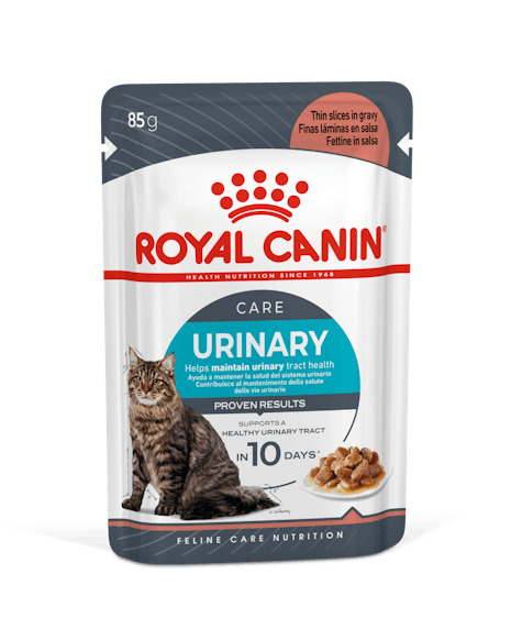 Royal Canin - Wet Urinary Care Gravy Cat Food