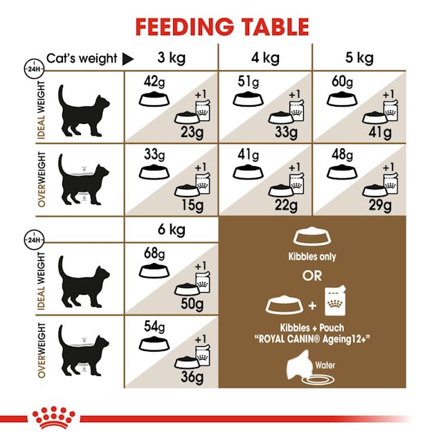 Royal Canin Adult Ageing 12+ Cat Dry Food