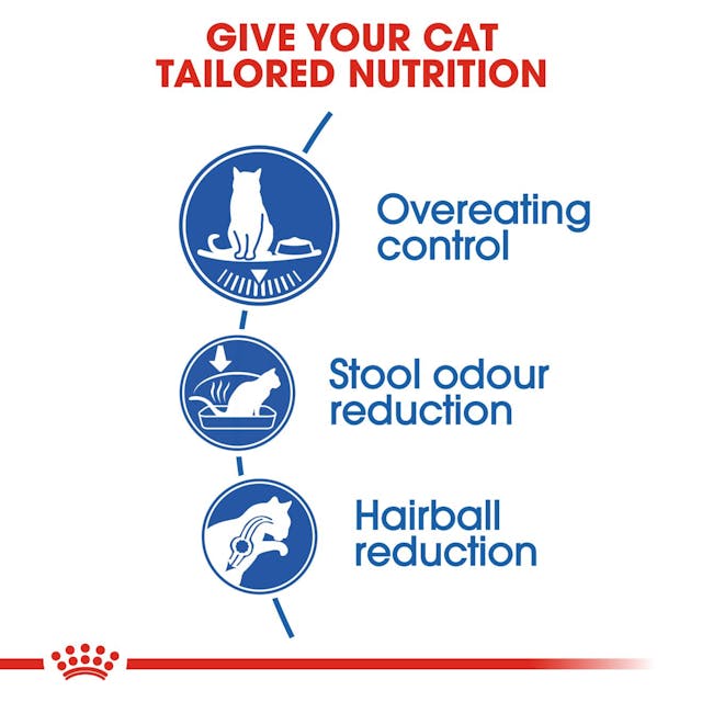 Royal Canin Adult Indoor  Cat Dry Food