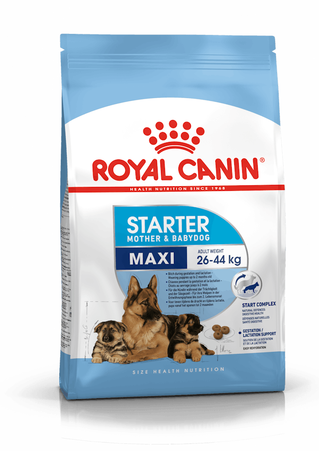 Royal Canin Maxi Starter Dog Dry Food
