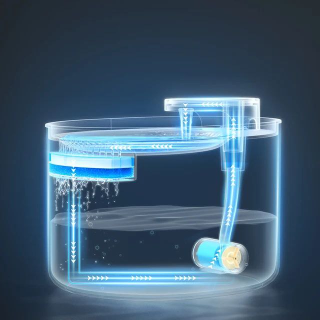 Automatic Water Dispenser