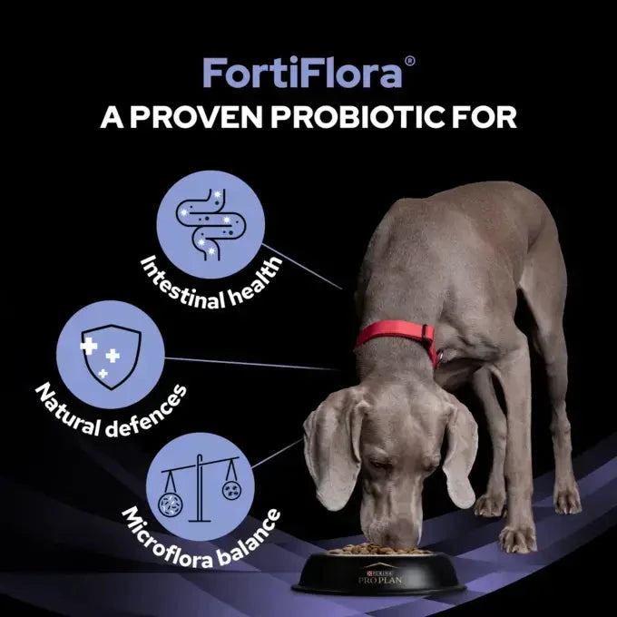 Purina Pro Plan FortiFlora Dog Probiotic Supplement