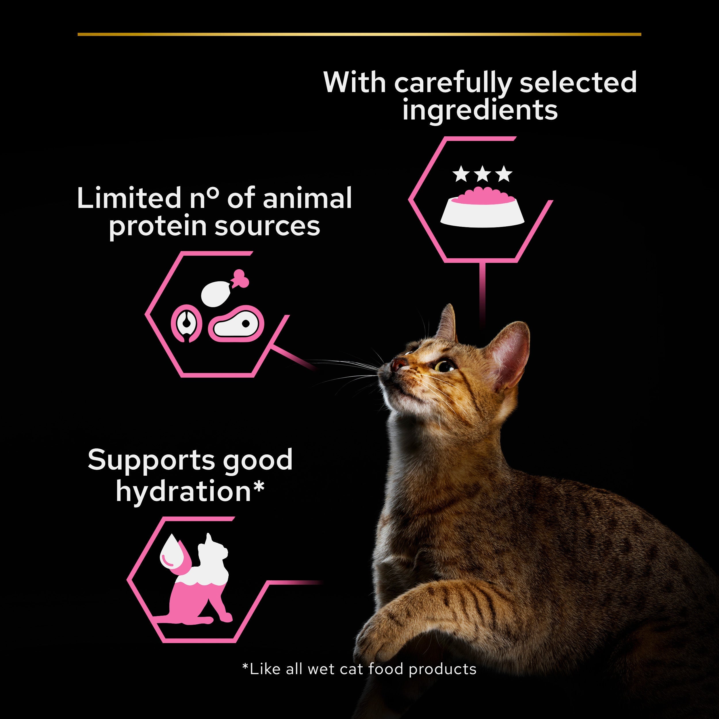 Purina Pro Plan - Adult Delicate Digestion Wet Cat Food Mousse - Turkey