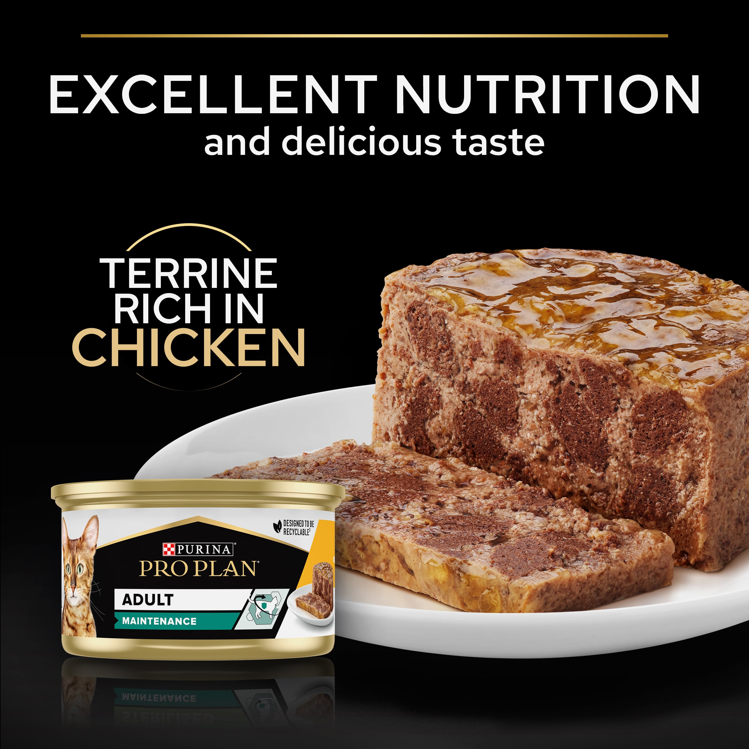 Purina Pro Plan - Adult Maintenance Wet Cat Food Terrine - Chicken