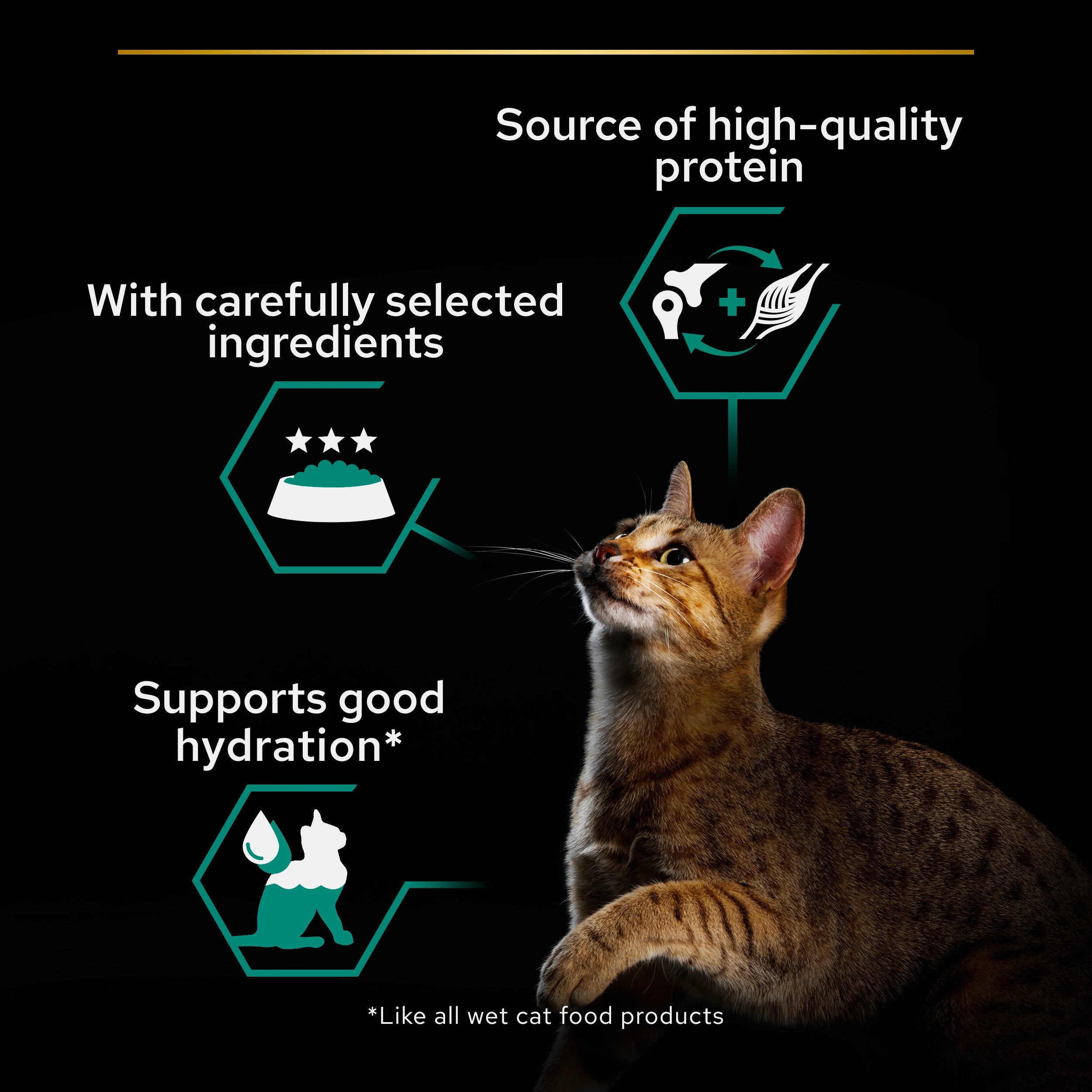 Purina Pro Plan - Adult Maintenance Wet Cat Food Terrine - Chicken