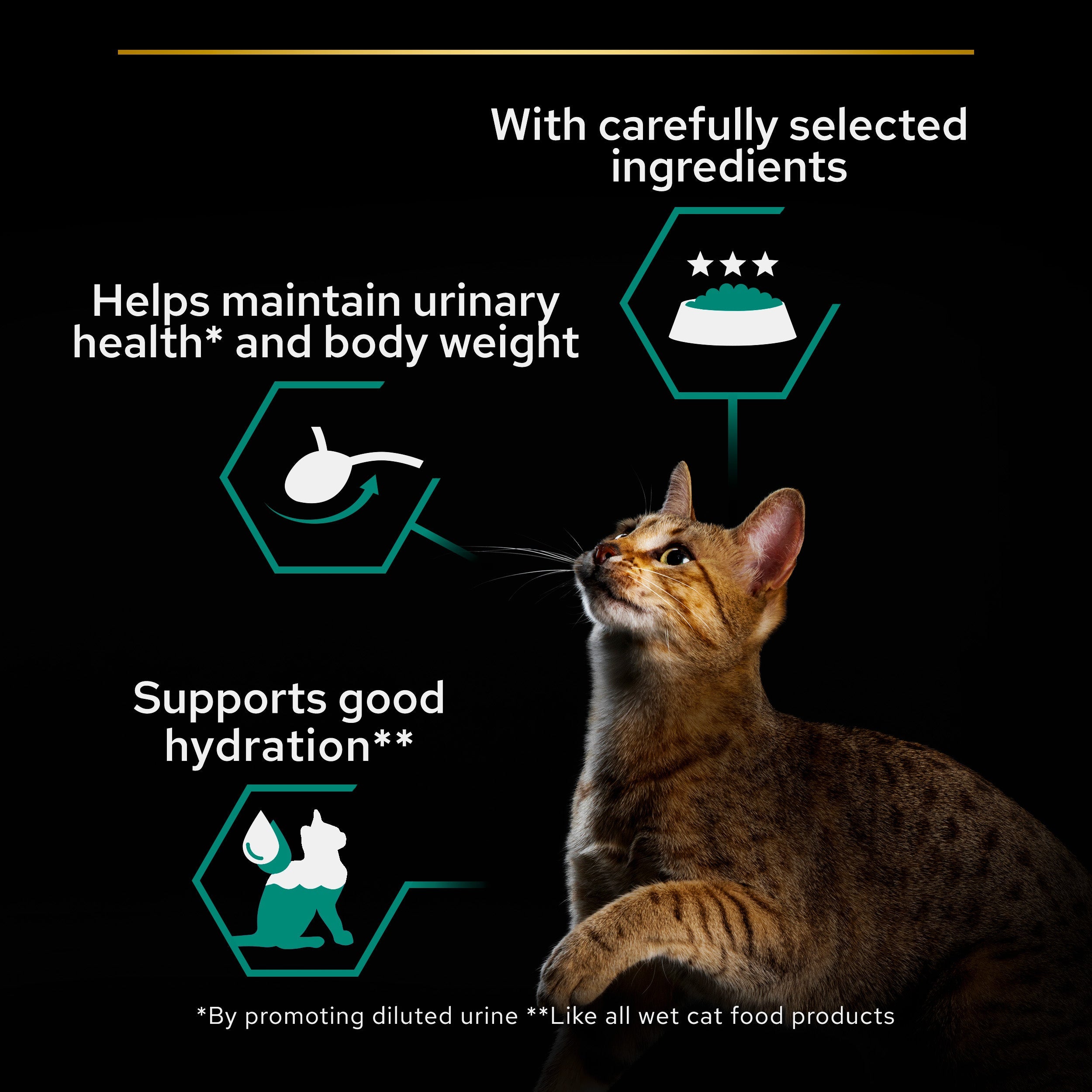 Purina Pro Plan - Adult Sterilised Maintenance Wet Cat Food - Terrine with Salmon and Tuna