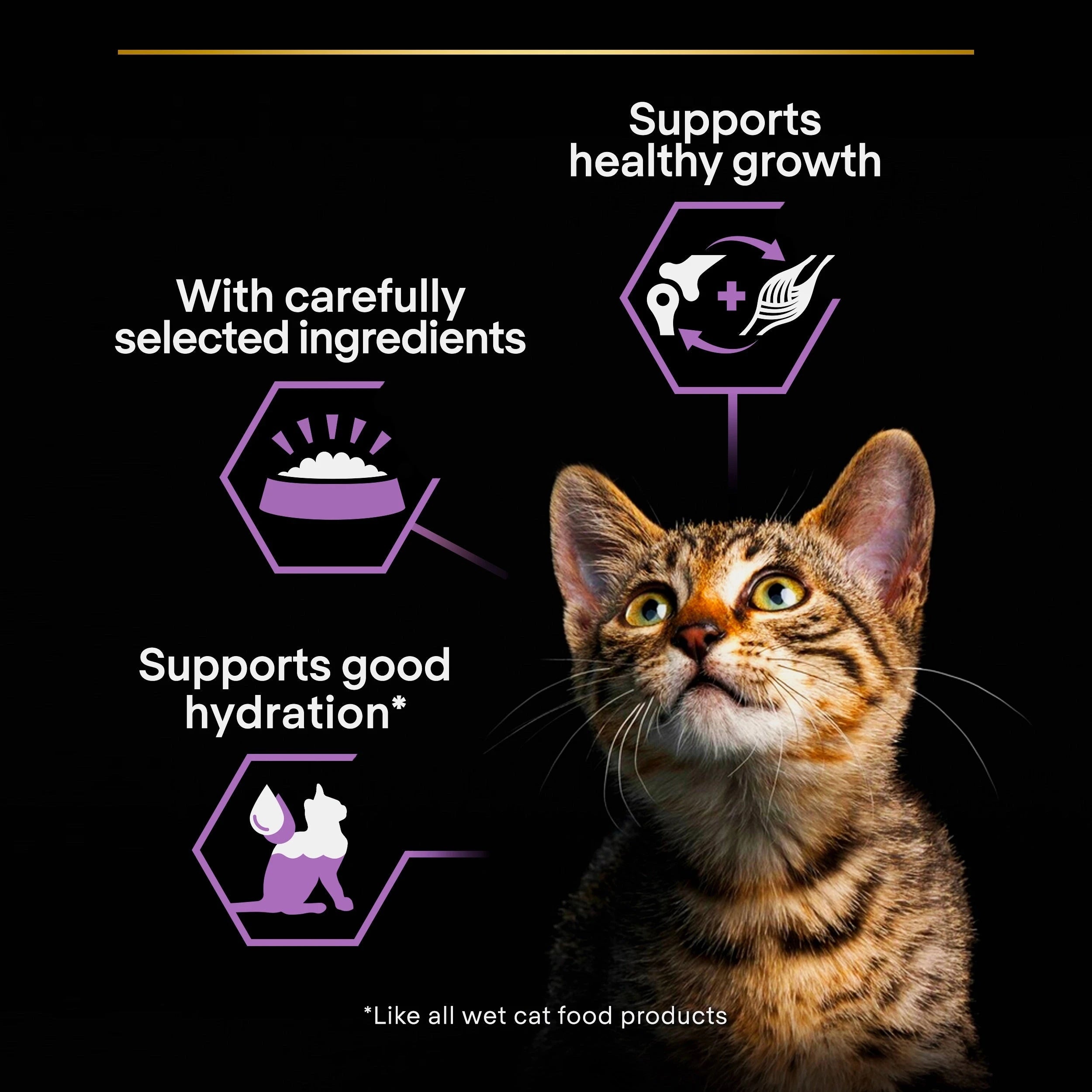 Purina Pro Plan - Baby Kitten Healthy Start Mousse - Chicken