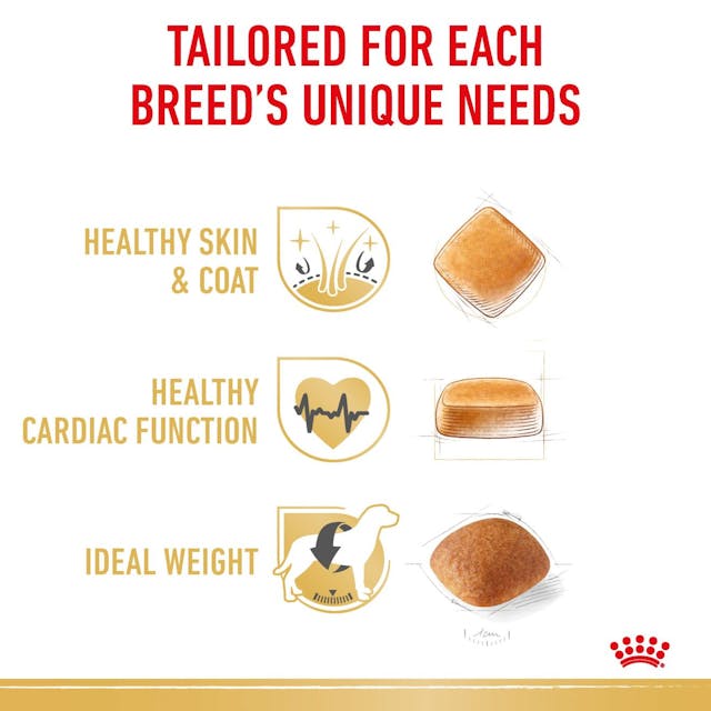 Royal Canin - Golden Retriever Adult Dog Dry Food - Shaking Tails