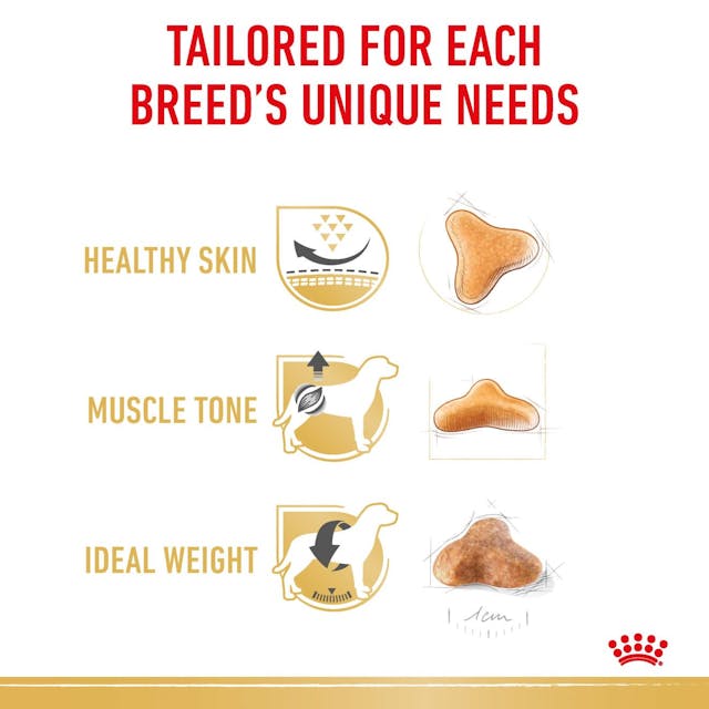 Royal Canin - Pug Adult Dog Dry Food