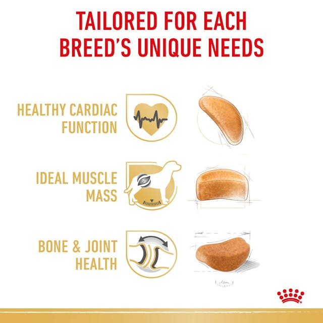 Royal Canin - Rottweiller Adult Dog Dry Food