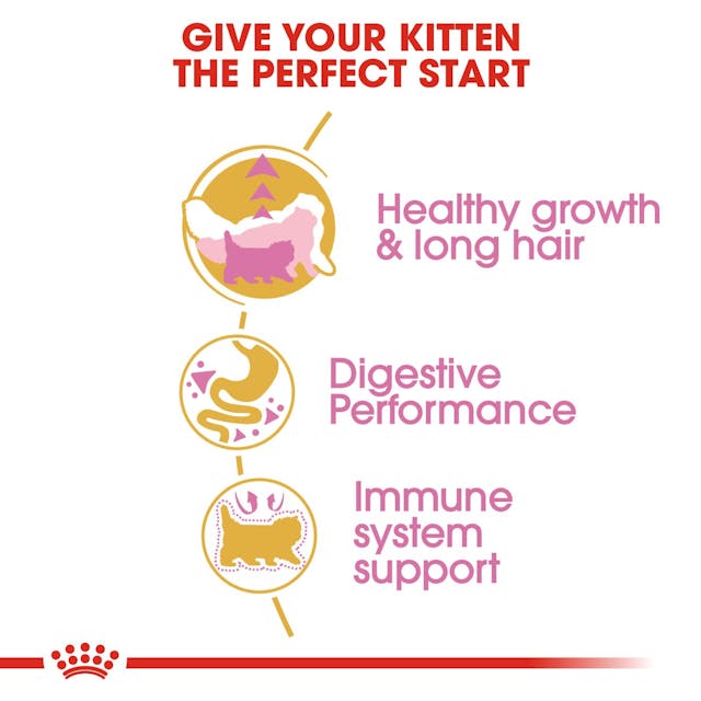 Royal Canin Kitten Persian Cat Dry Food