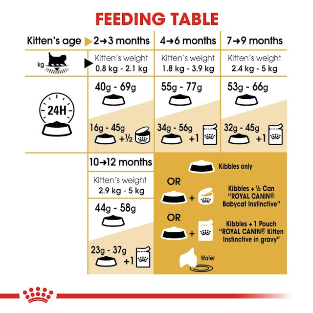 Royal Canin Kitten Persian Cat Dry Food