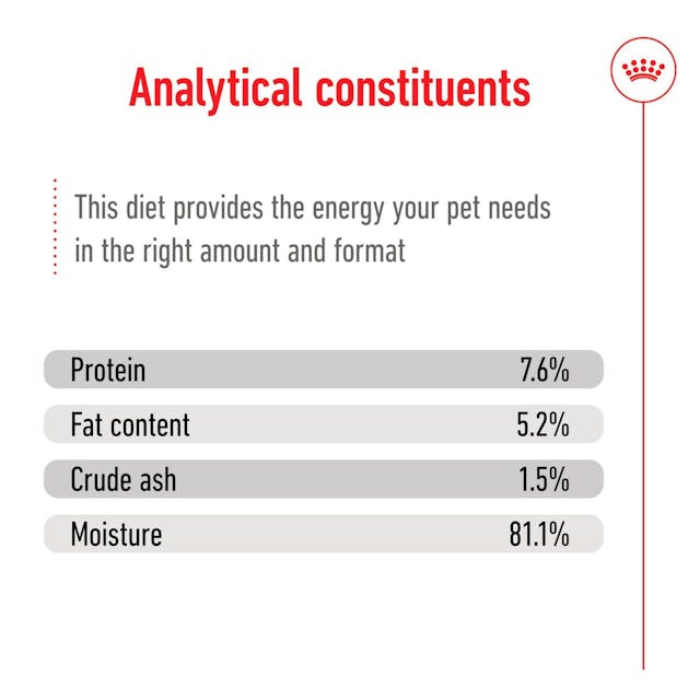 Royal Canin - Wet Mini Adult Dog Food - Shaking Tails