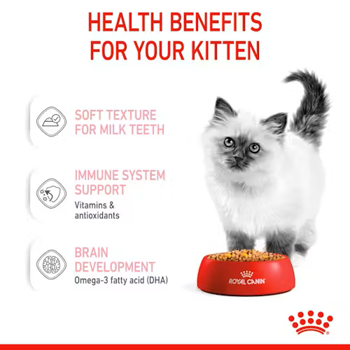 Royal Canin - Wet Kitten Jelly Cat Food