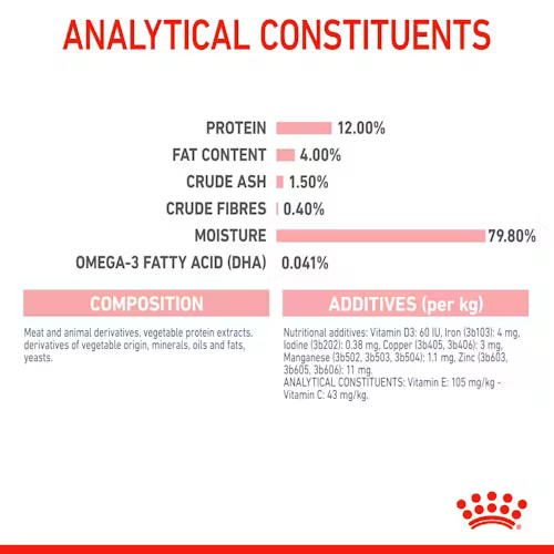 Royal Canin - Wet Kitten Jelly Cat Food