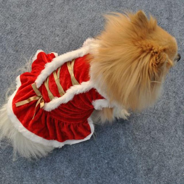 Christmas Costume for Cats & Small Dogs - Shaking Tails