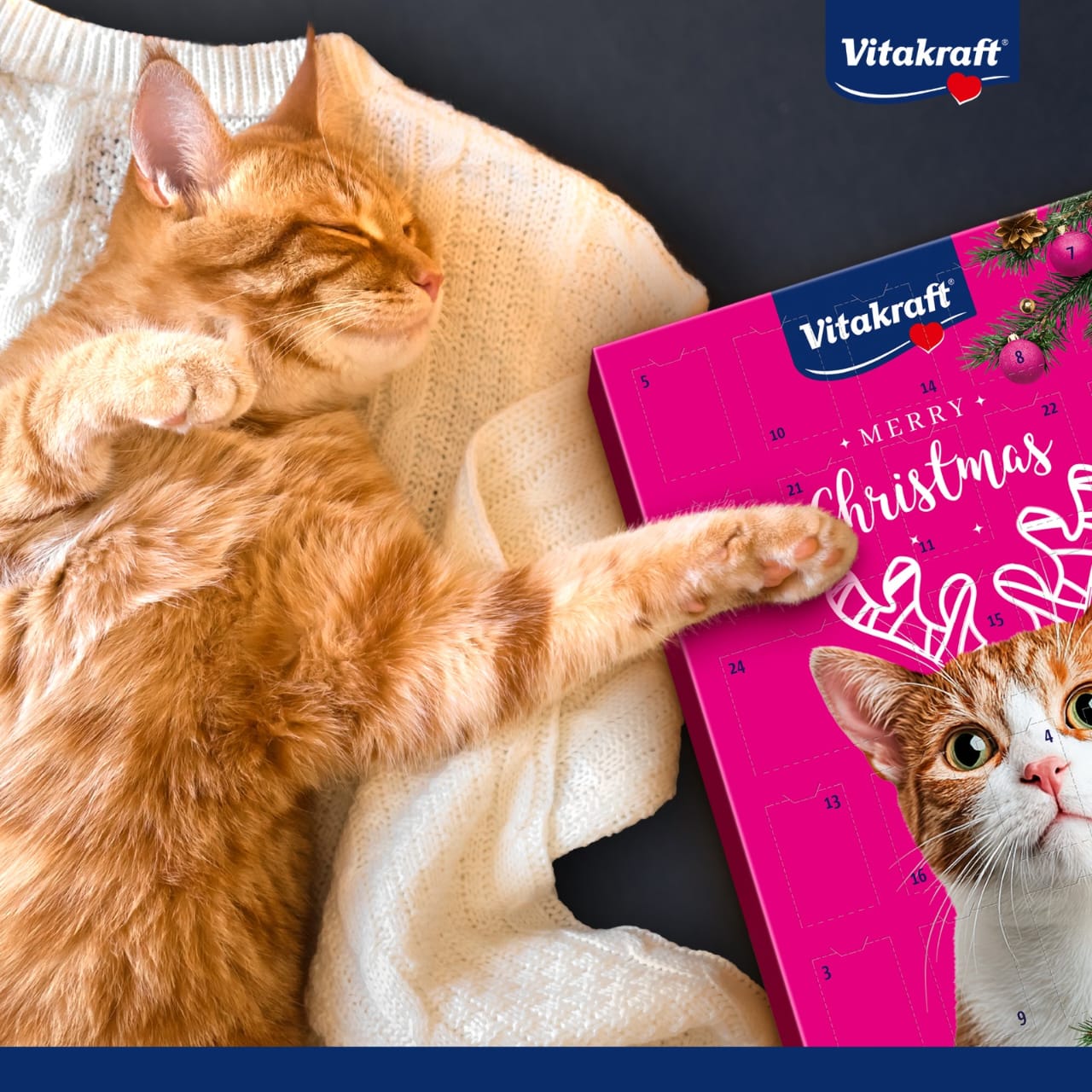 Vitakraft - Christmas Advent Calendar For Cats - Shaking Tails