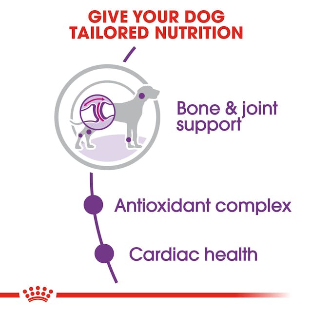 Royal Canin - Giant Adult Dog Dry Food