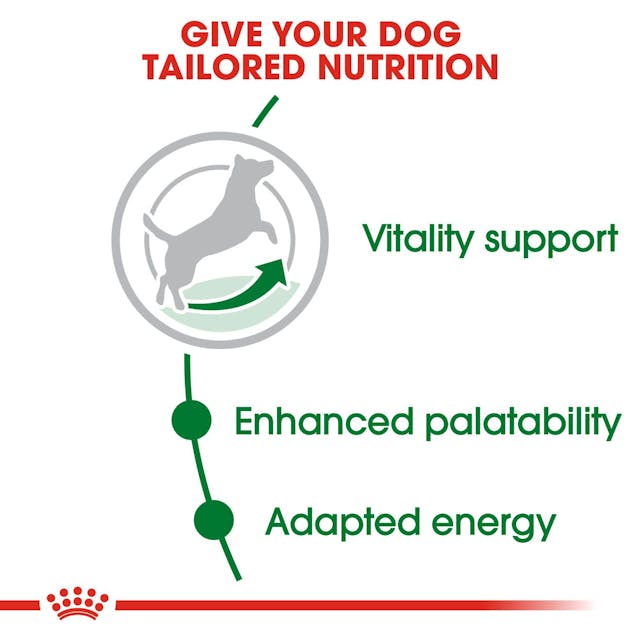 Royal Canin Mini Adult 8+ Dog Dry Food