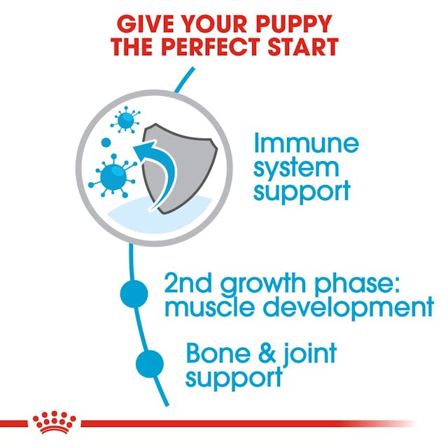 Royal Canin - Giant Junior Dog Dry Food