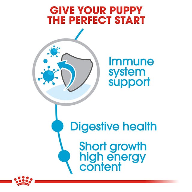 Royal Canin Medium Puppy Dog Dry Food
