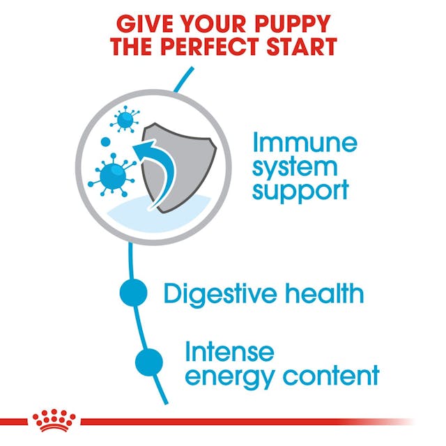 Royal Canin Mini Puppy Dog Dry Food