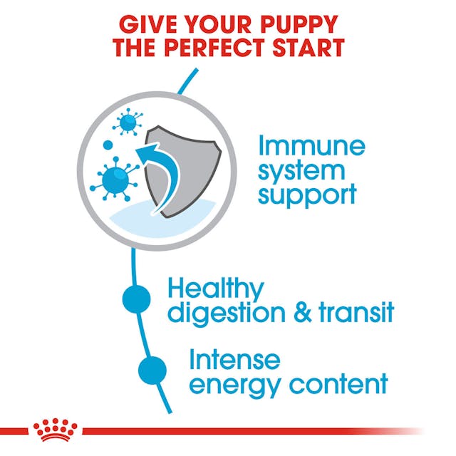 Royal Canin X-Small Puppy Dog Dry Food