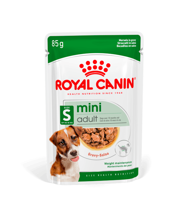 Royal Canin - Wet Mini Adult Dog Food - Shaking Tails