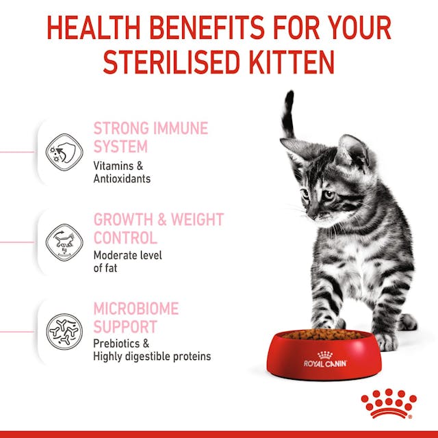 Royal Canin Kitten Sterelised Cat Dry Food