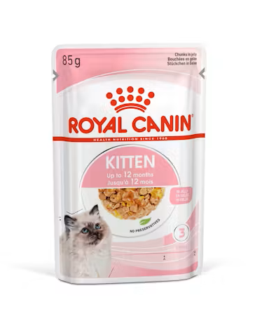 Royal Canin - Wet Kitten Jelly Cat Food